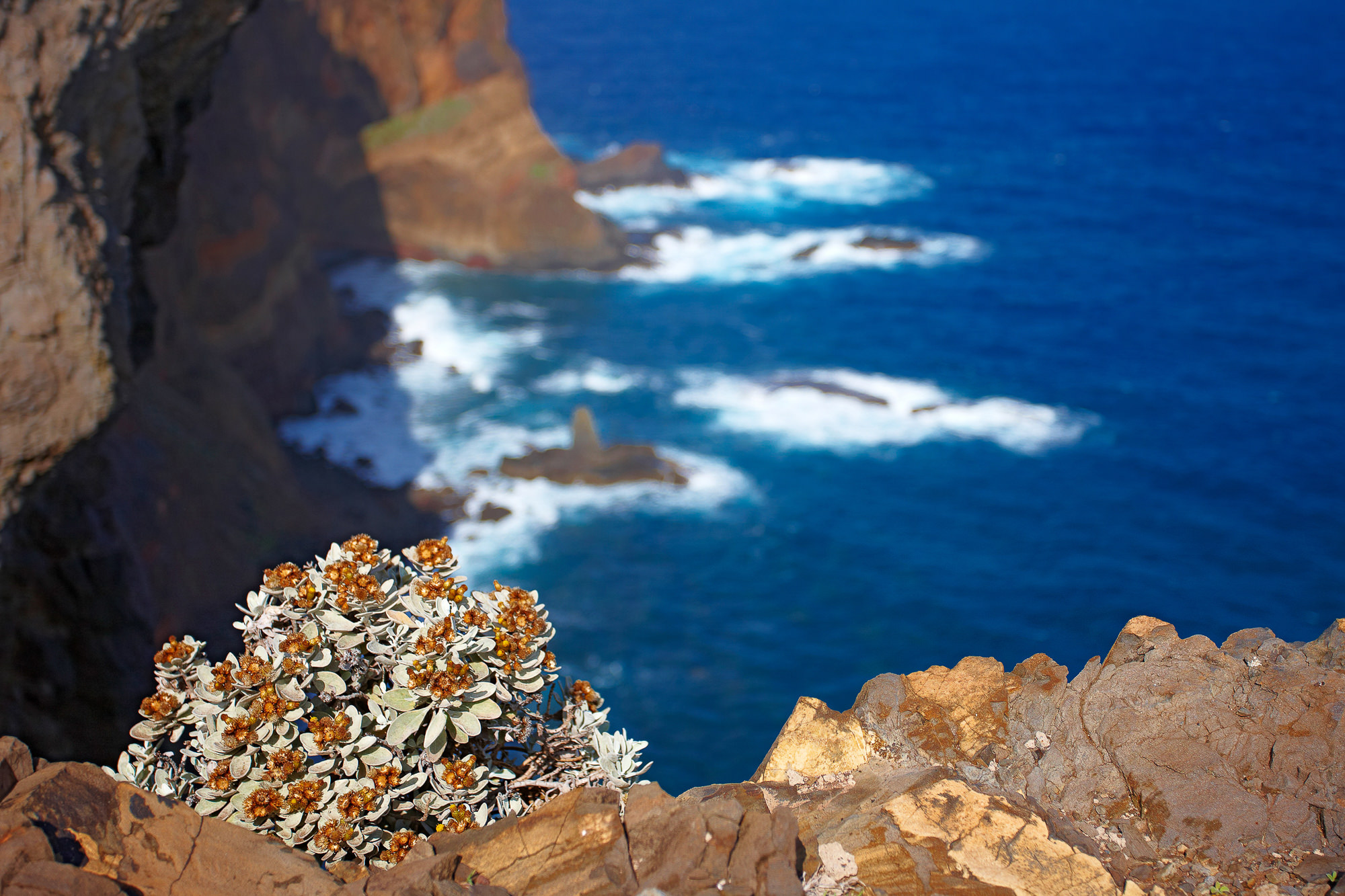 Ponta de São Lourenço im Osten Madeiras