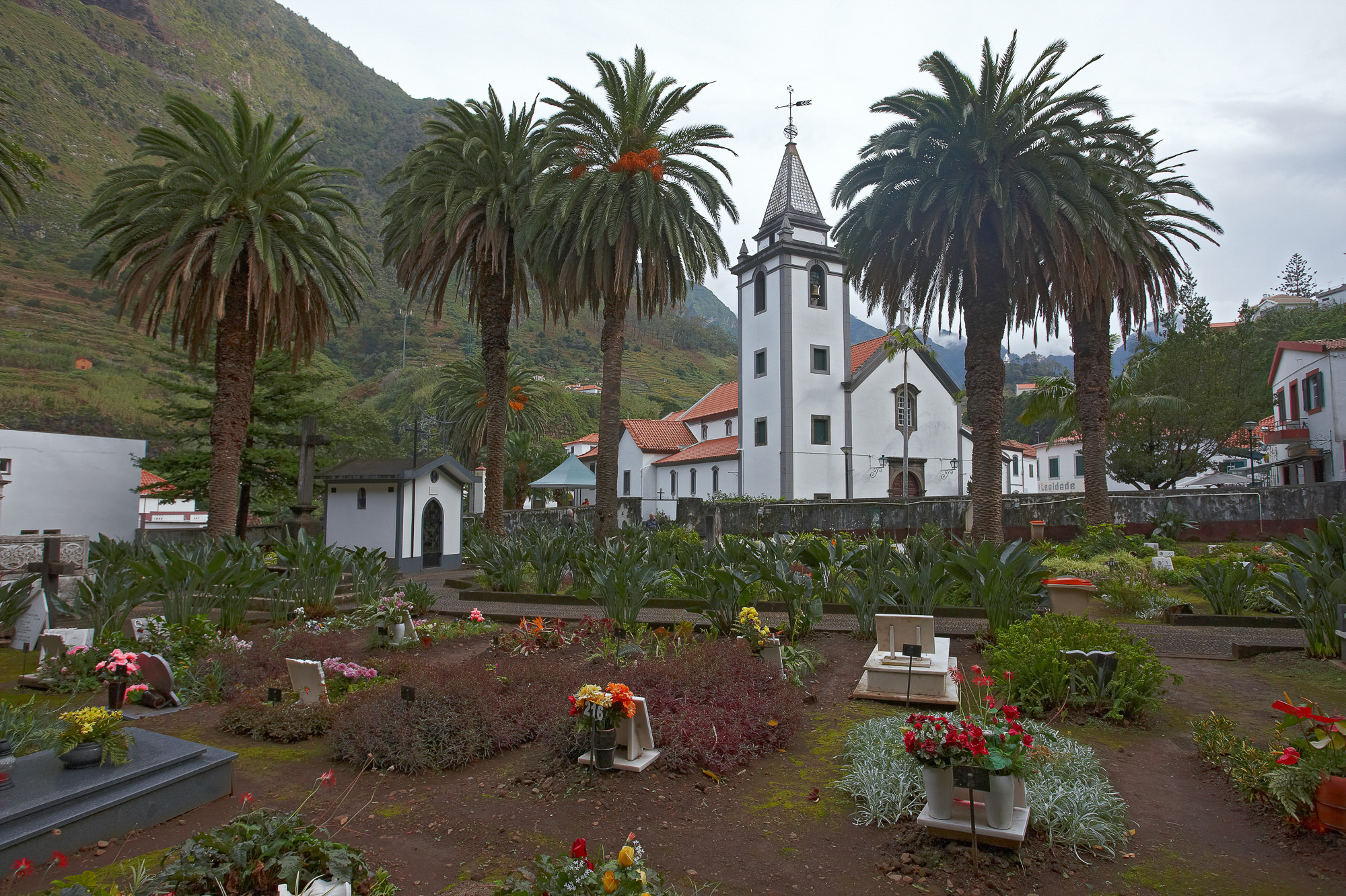 Madeira graveyard