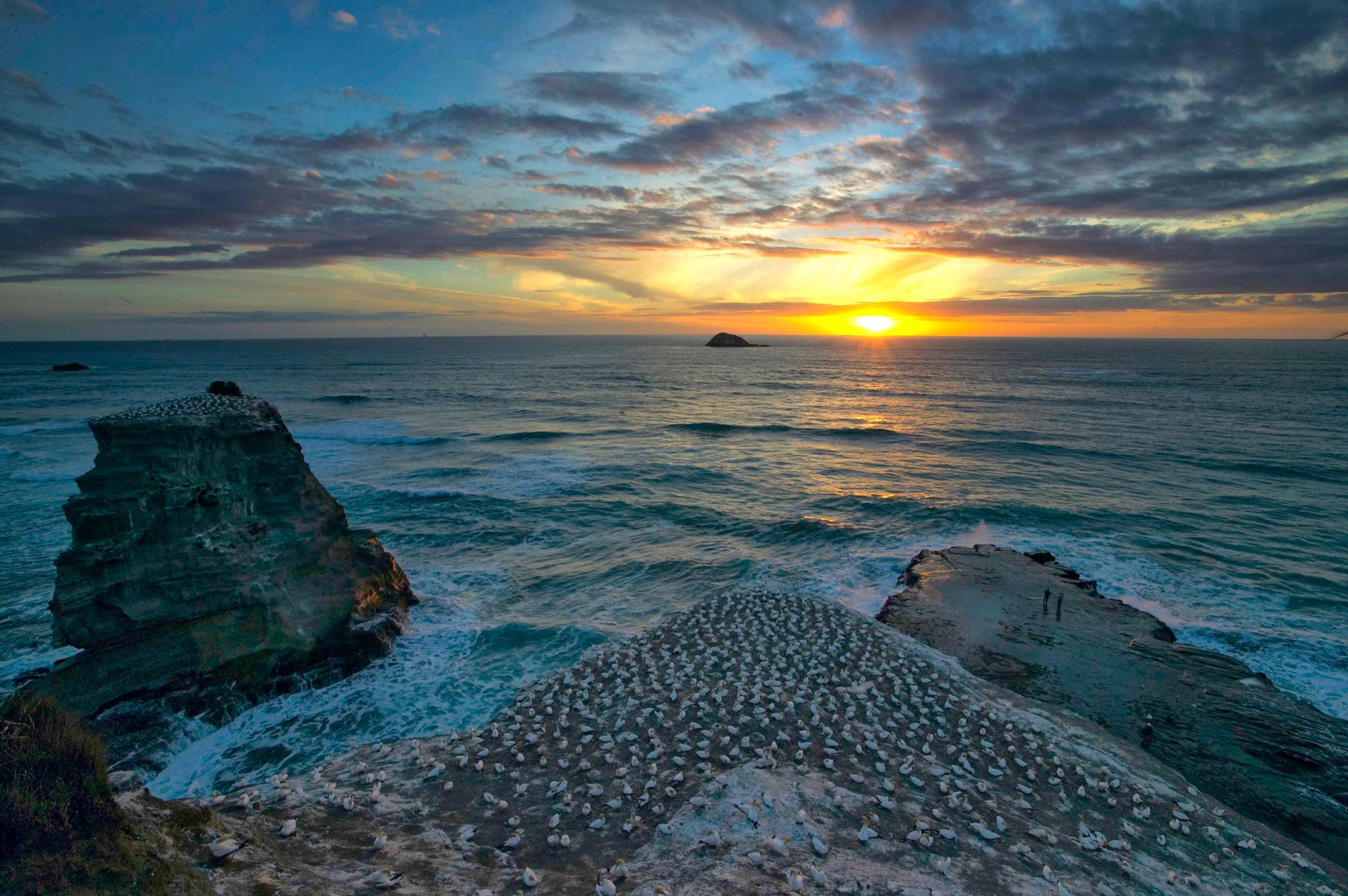 New Zealand