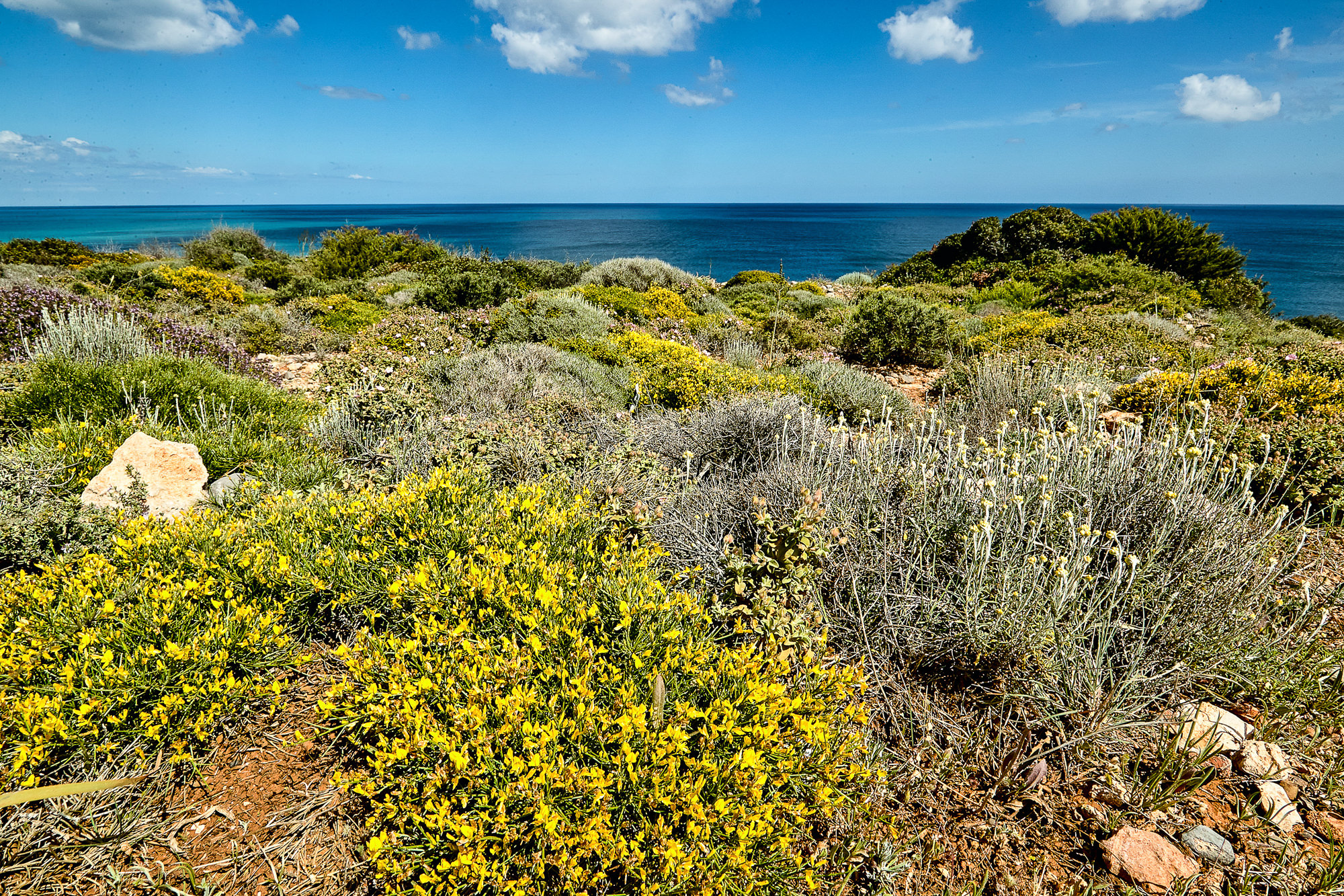 colorful maquis