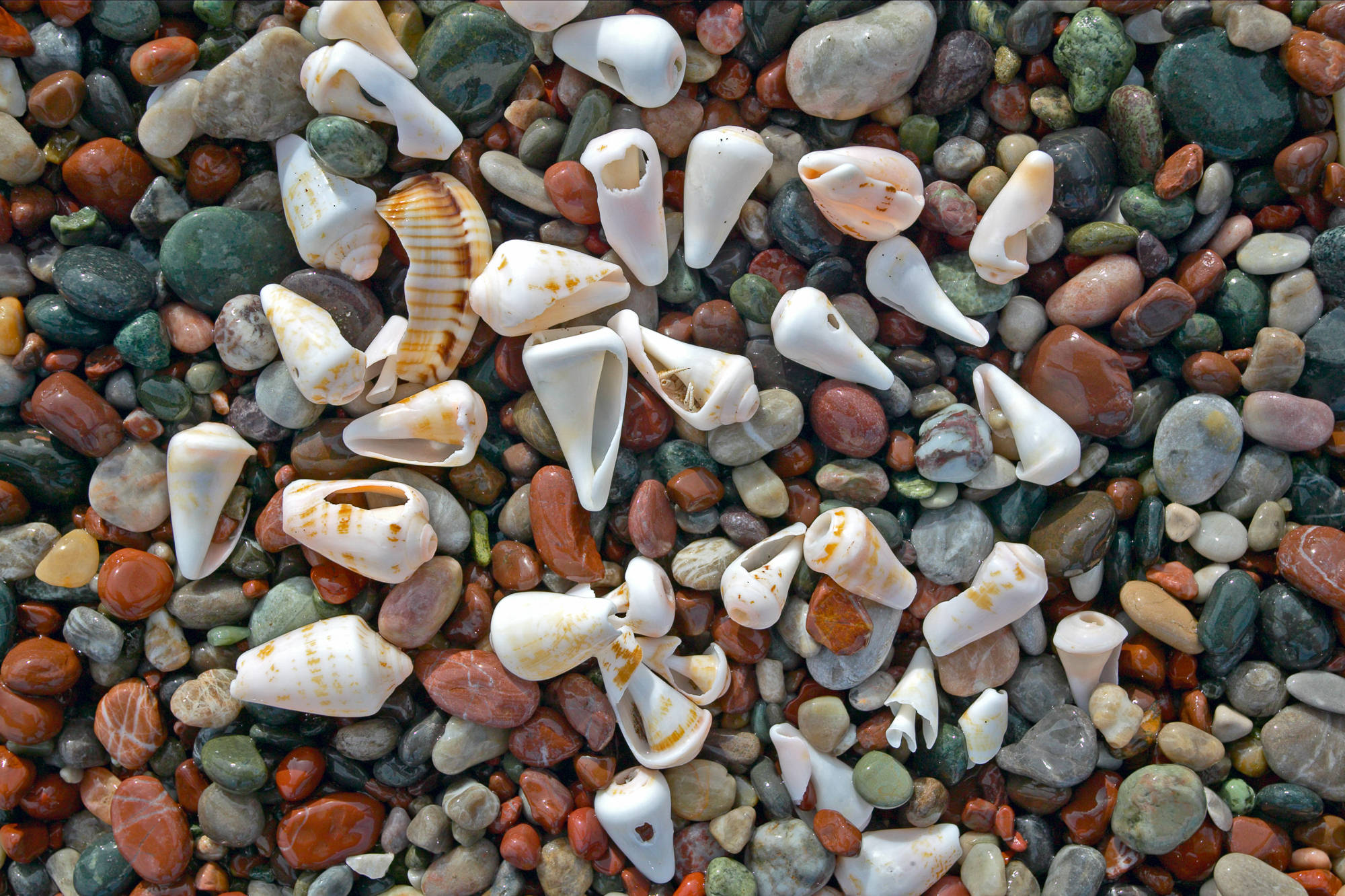 colorful pebble beach