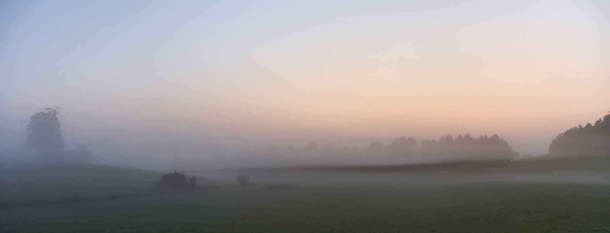 morning mood in the moor