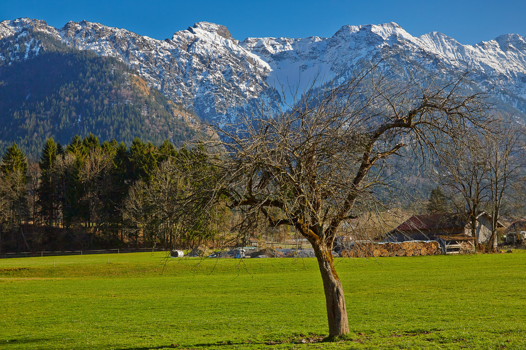 spring in the mountains