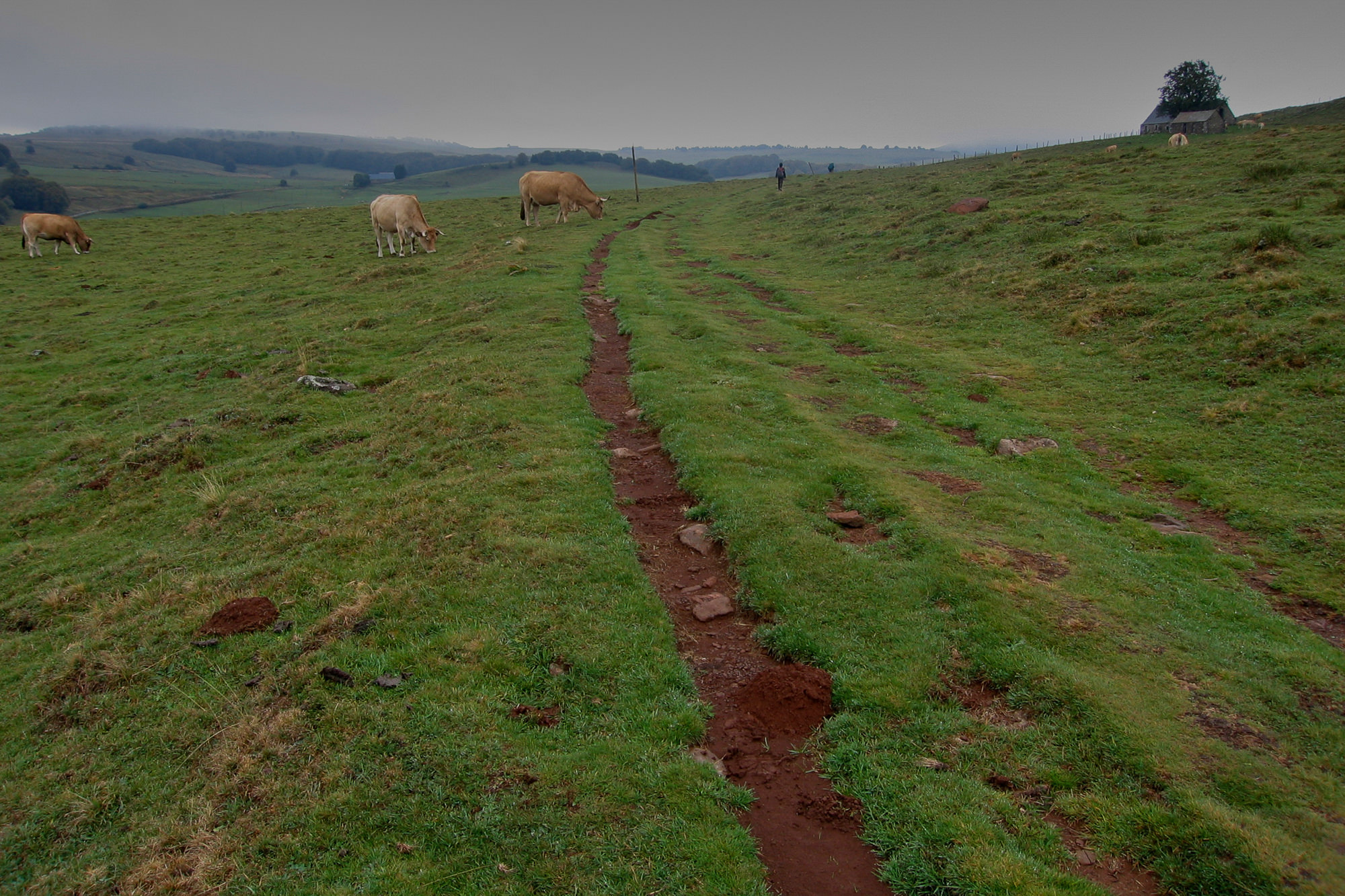 Day 2: Way from Nasbinals to St-Chely-d'Aubrac