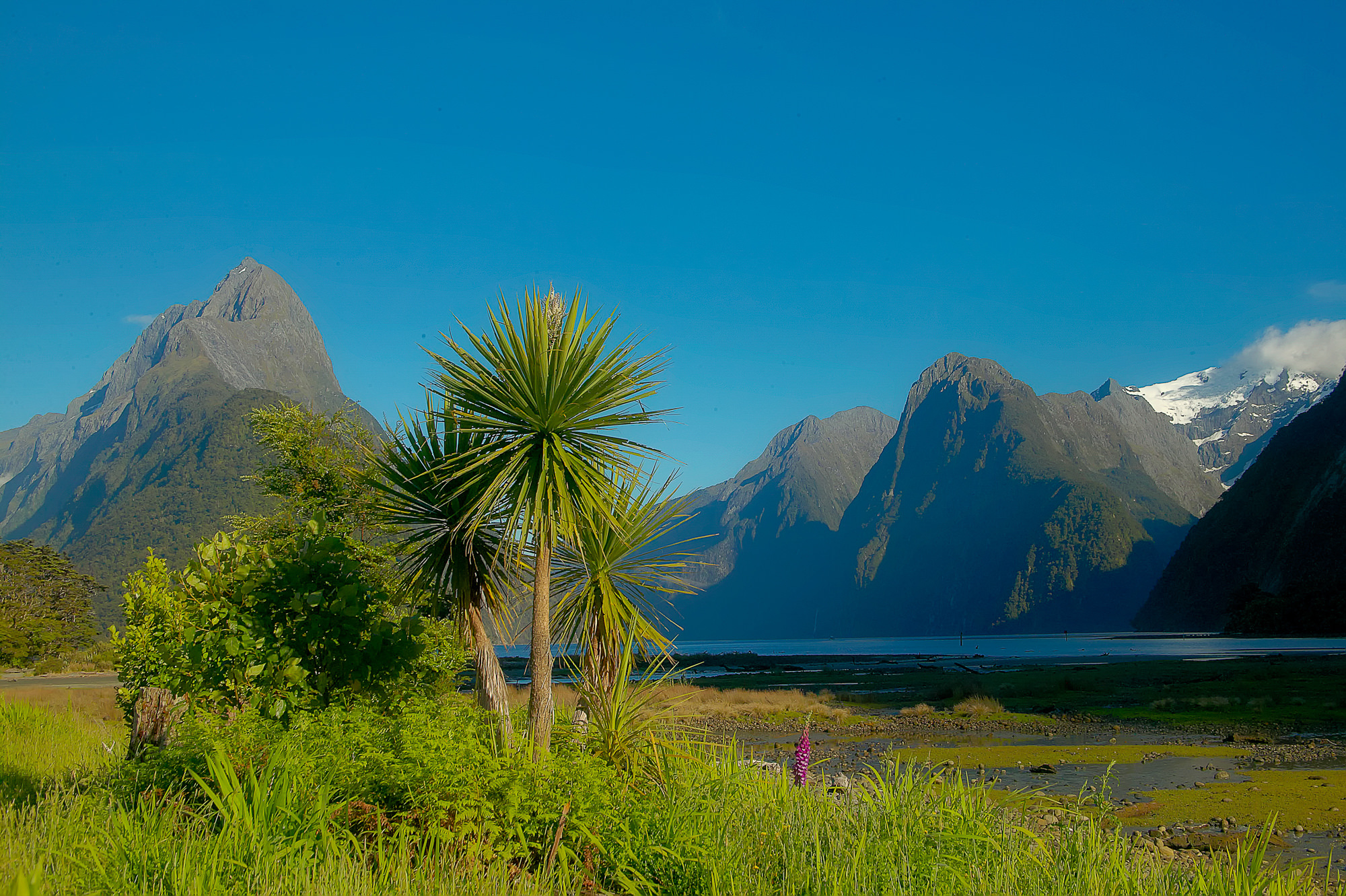 Milford Sound with Mitre Peak, New Zealand